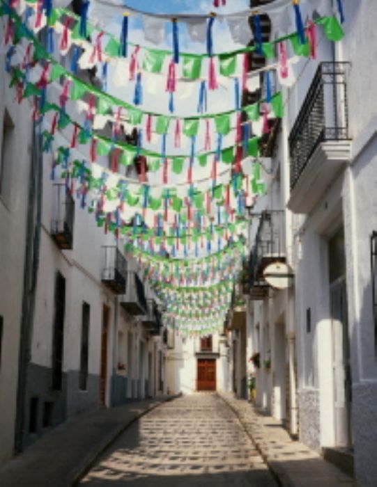 PANCARTAS